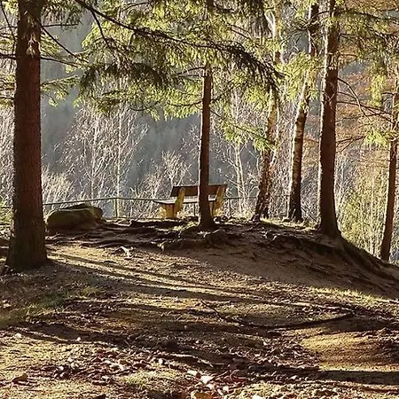 Дом отдыха Heidi Браунлаге