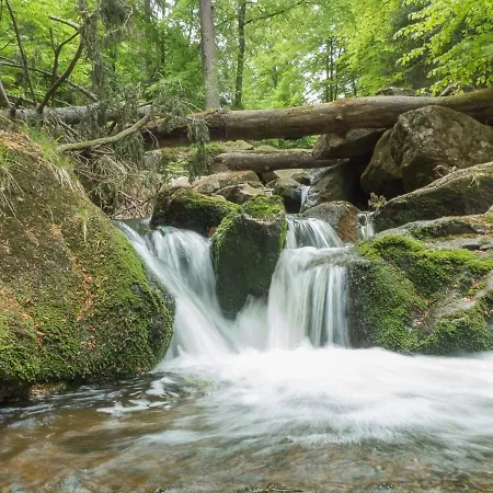 Heidi * Браунлаге