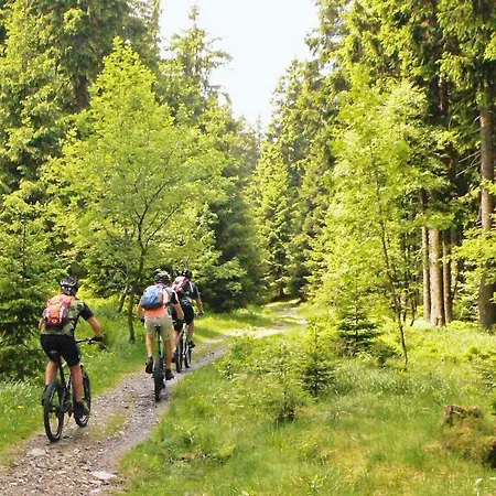 Heidi Holiday home Braunlage