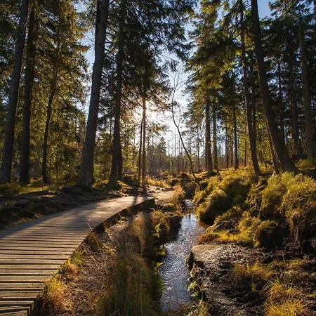 Heidi Браунлаге