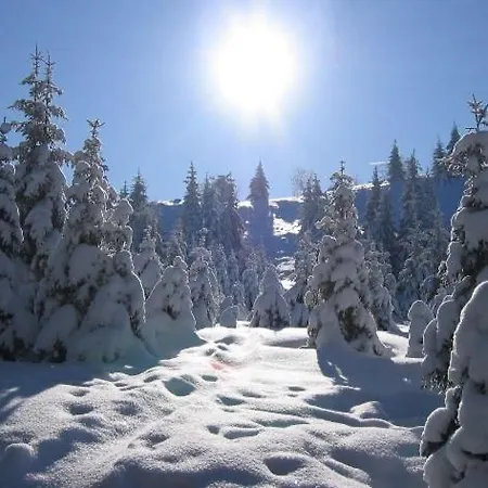 Heidi * Браунлаге