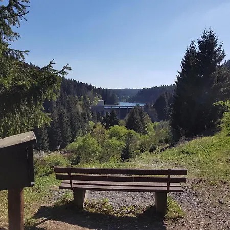 Heidi *