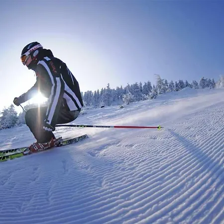 Heidi * Браунлаге