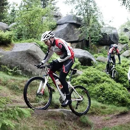 Дом отдыха Heidi Браунлаге