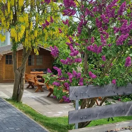Heidi Holiday home Braunlage